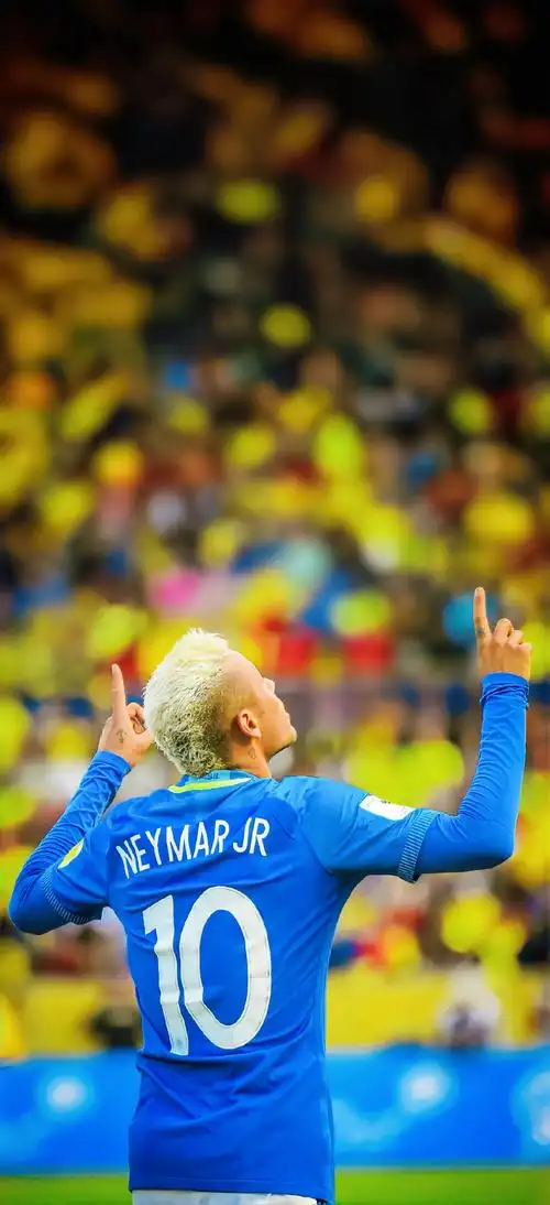 风向和羽毛 风向和羽毛