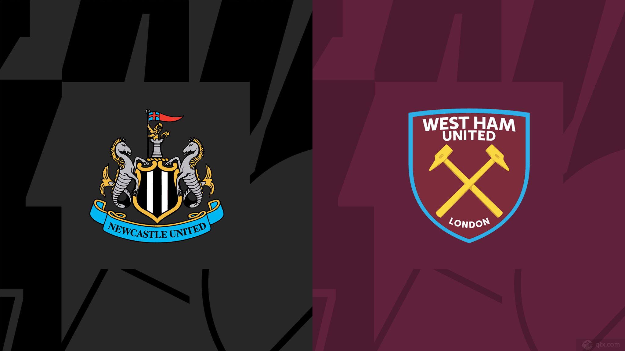 加拿大新星 加拿大新星